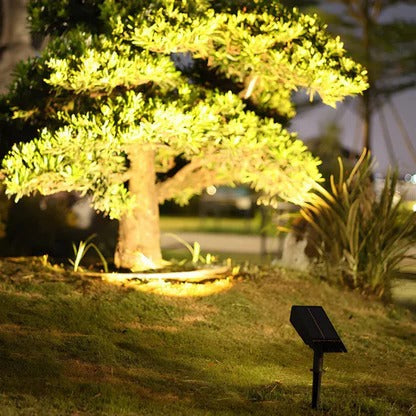 Solar Adjustable-Zoom LED Garden Spotlight