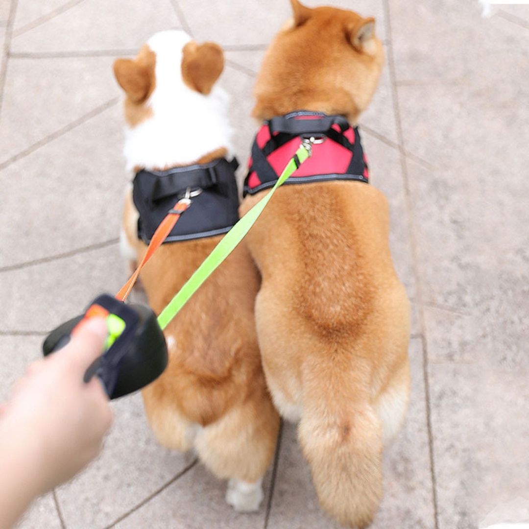 Anti-Tangle Double Dog Leash with 360° Swivel